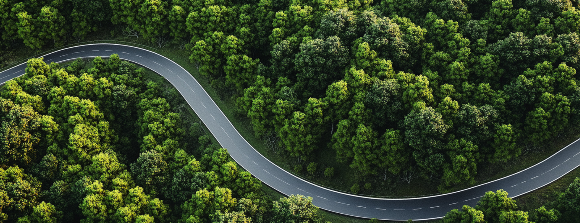 BJLƽ̨(�й���)����